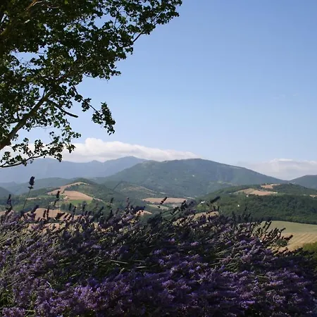 Agriturismo La Rosa Tea Farm stay Urbania