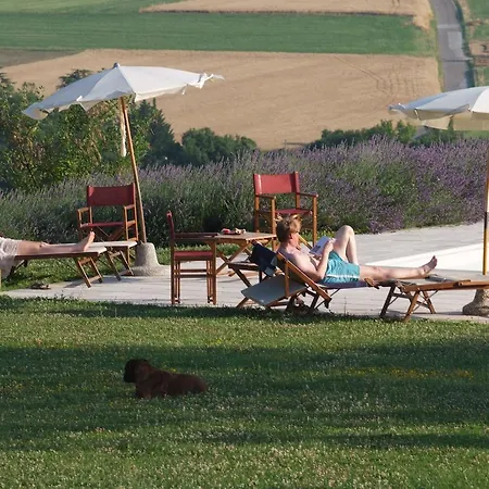 Agroturismo Agriturismo La Rosa Tea Urbania