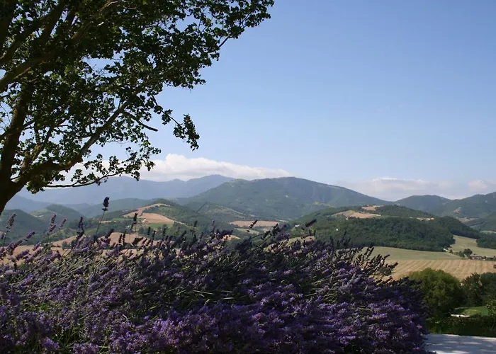 Agriturismo La Rosa Tea Agroturismo Urbania